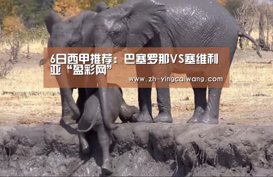 6日西甲推荐:巴塞罗那VS塞维利亚“盈彩网”(图2) 盈彩网