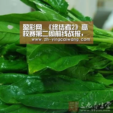 盈彩网_《终结者2》高校赛第二周前线战报,深京石三地圆满落幕(图4) 盈彩网