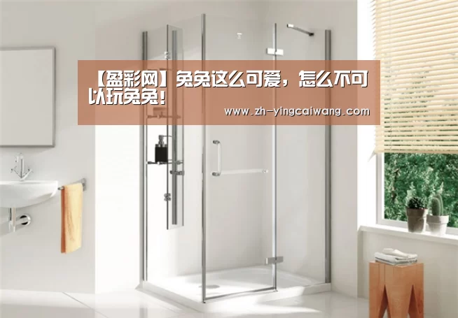 盈彩网